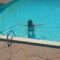 Mariana Guedes Jabour Avatar